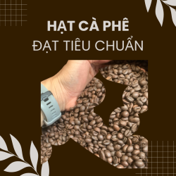 Cà Phê Hàng Chất Lượng Cao: Những Điều Bạn Cần Biết Để Thưởng Thức Từng Ngụm-4