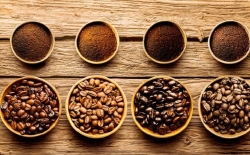 CÁC GIỐNG CÀ PHÊ NỔI TIẾNG – CÁC LOẠI CAFE NGON HIỆN NAY-6