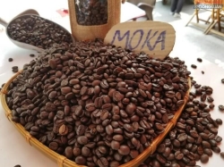 ĐẶC ĐIỂM CỦA LOẠI CÀ PHÊ MOKA-4