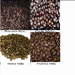 Đại Gia Nguyễn Cung Cấp Cà Phê Chất Lượng Cao-0