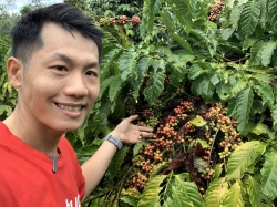 Giá cà phê hôm nay 20/4/2024: Thị trường hồi phục nhẹ-6