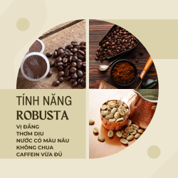 Khám phá vị đắng đậm cực kỳ thích hợp cho nam giới cùng Robusta! -1
