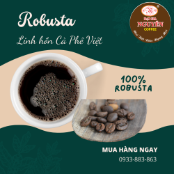 Robusta - linh hồn cà phê Việt Nam-5