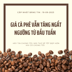 Giá cà phê tiếp tục tăng 18/9/2023-9