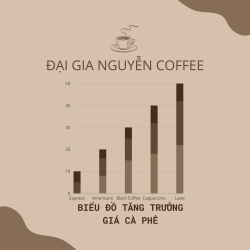 Giá cà phê ngày 23/09/2023: Arabica lao dốc sau Conab điều chỉnh dự báo sản lượng tăng  -8